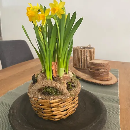 Erelia Apartman Bük