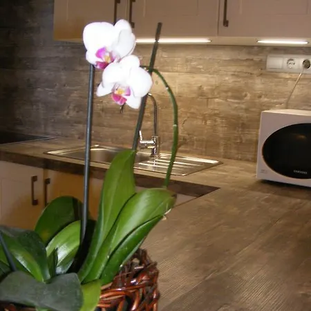 Apartmán Erelia *