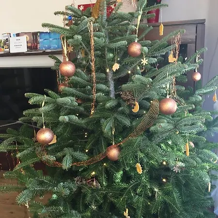 Apartamento Erelia *