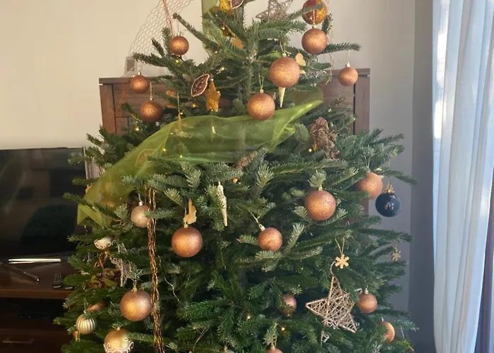 Ereli Bük