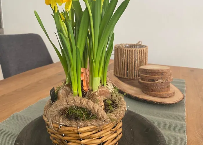 Erelia Apartament Bük